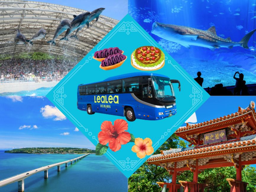 OKINAWA: LeaLea One-Day Sightseeing Tour "Chura Bus" with Taco Rice Lunch Departure